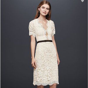 Illusion Lace Shift Dress with Contrast Ribbon
